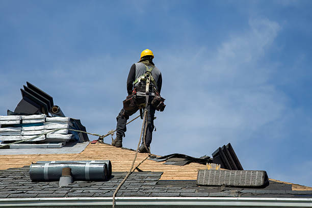 Professional Metal Roofing technician working in Callender, IA